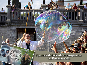 Pairi Daiza spectacle de bulles 2025
