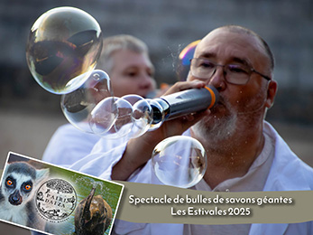 pairidaiza animation de bulles de savon geantes