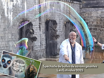 spectacle de bulle a pairi daiza 2024