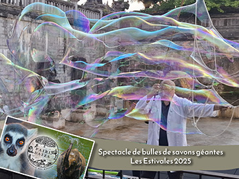 spectacle de bulle a pairi daiza 2025