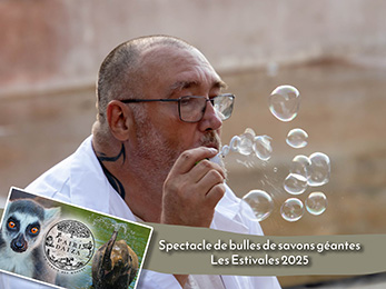 spectacle estivales pairi daiza bulle